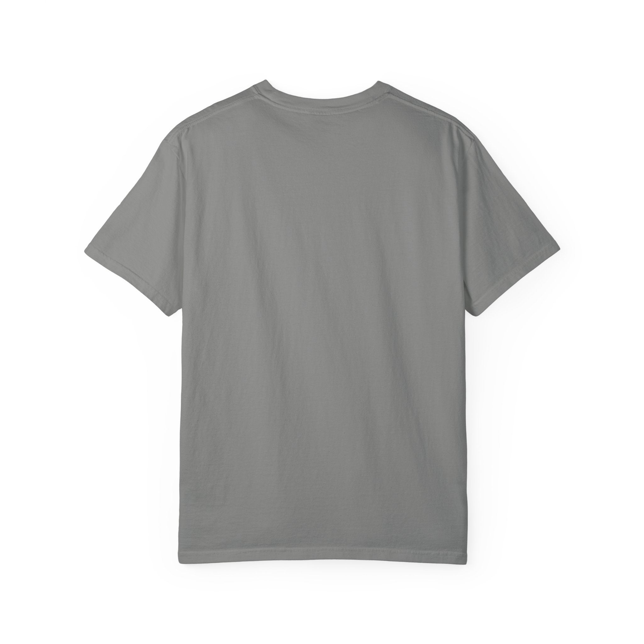 Hard Days, Soft Paws Comfort Colors® Dog Lover T-Shirt | Cozy Puppy Tee | Gift for Dog Mom