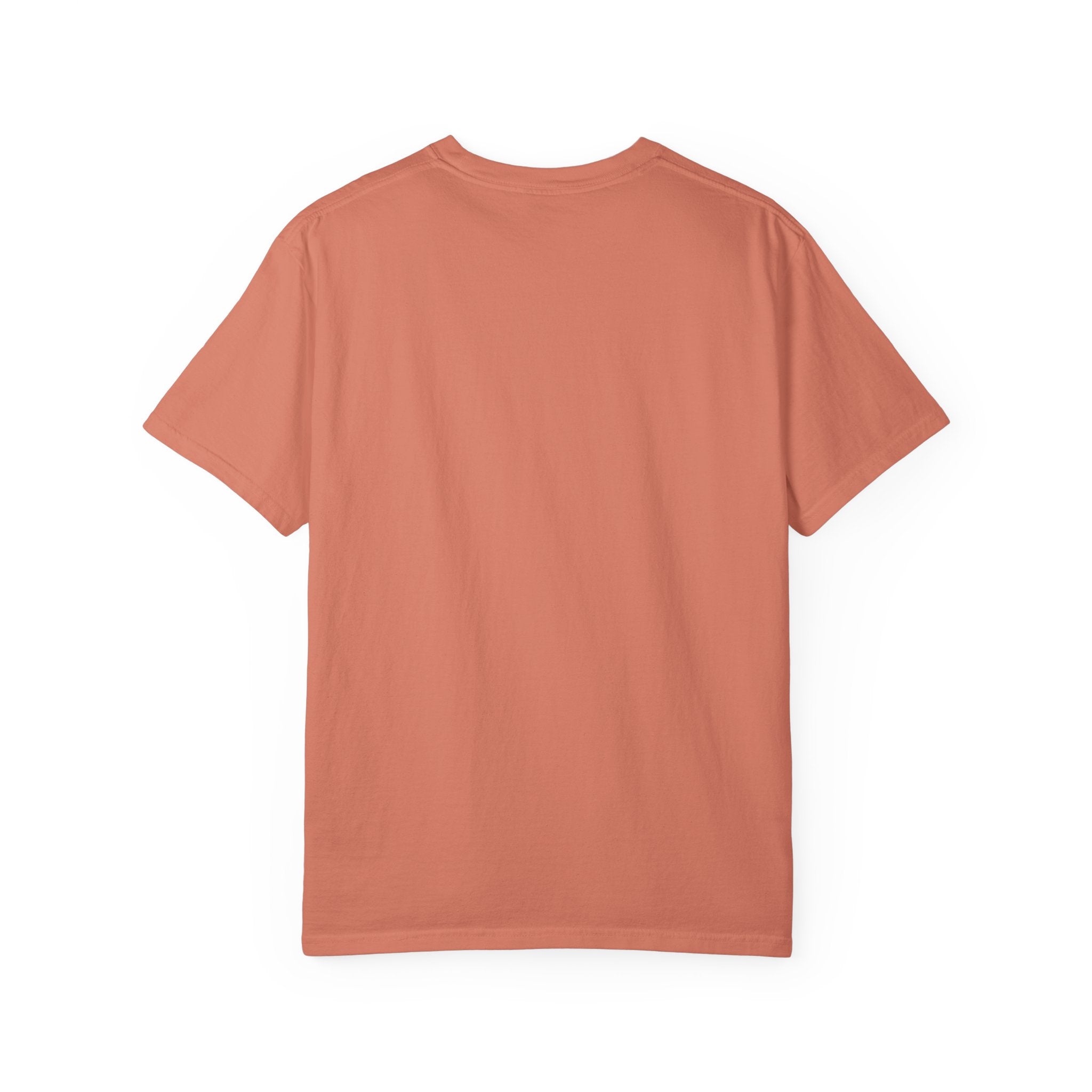 Hard Days, Soft Paws Comfort Colors® Dog Lover T-Shirt | Cozy Puppy Tee | Gift for Dog Mom