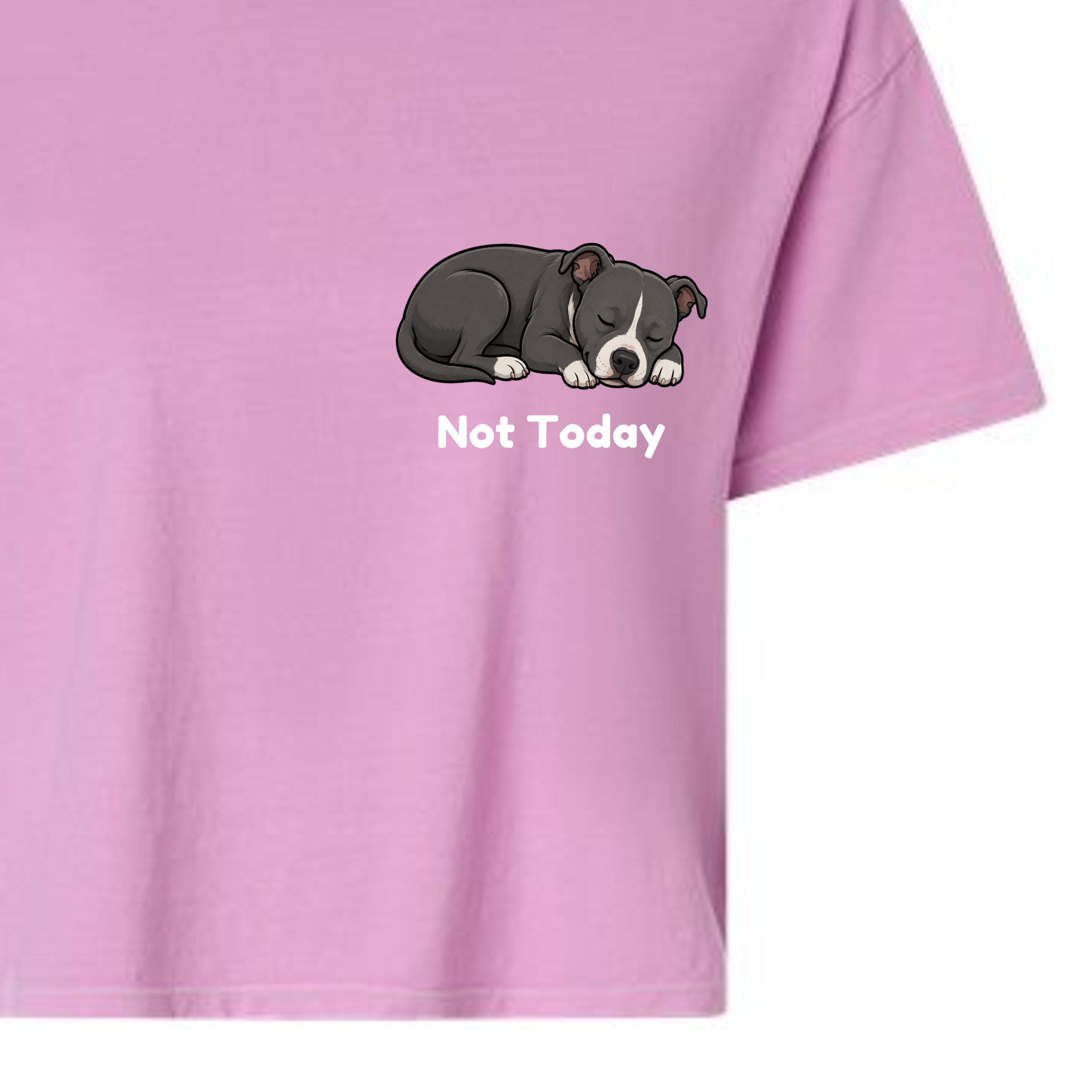 Rose Quartz - 3023CL - FRONT