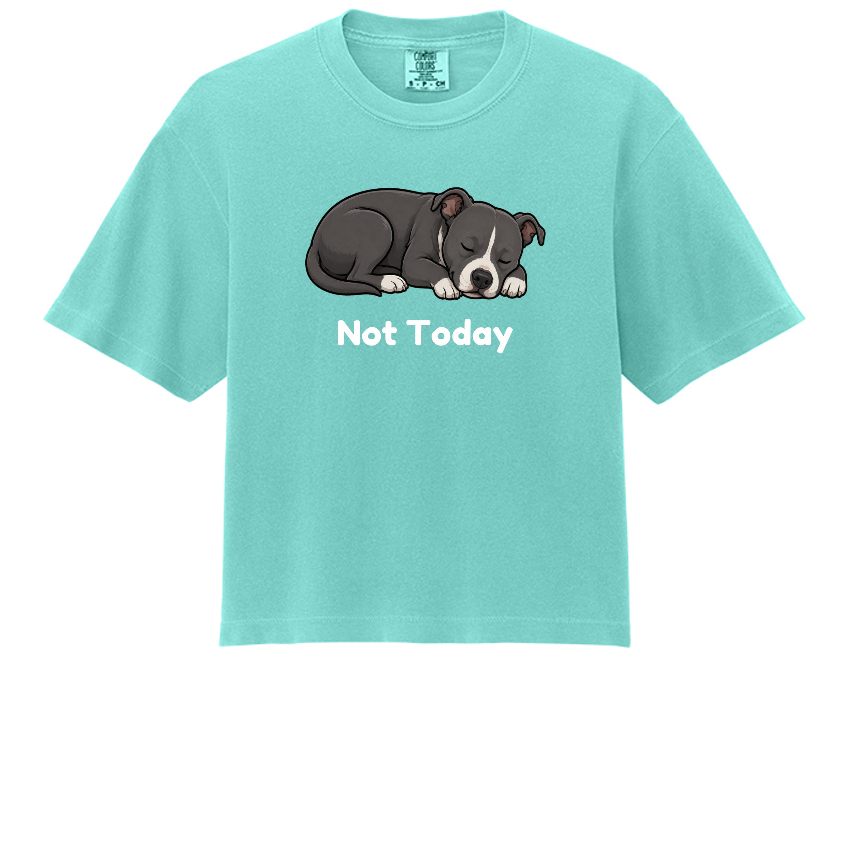 Chalky Mint - 3023CL - FRONT